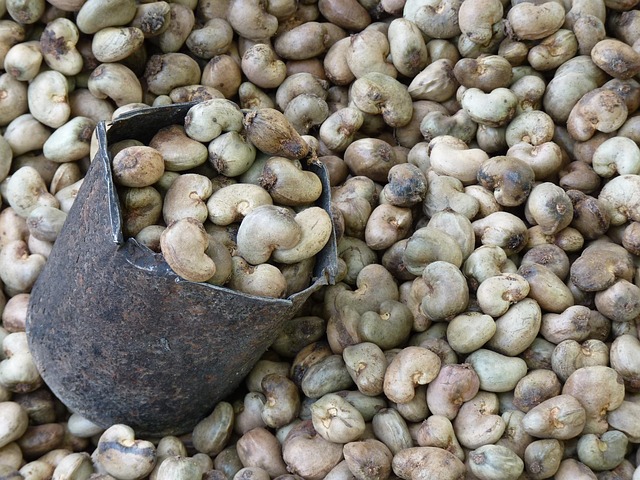Cashew nut