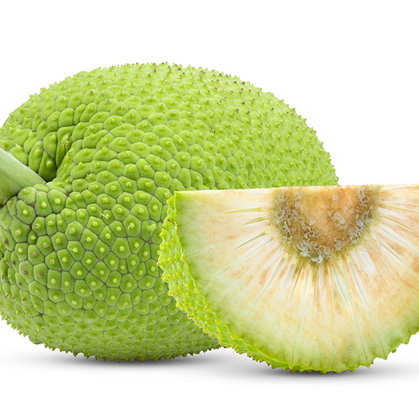 Bread Fruit
