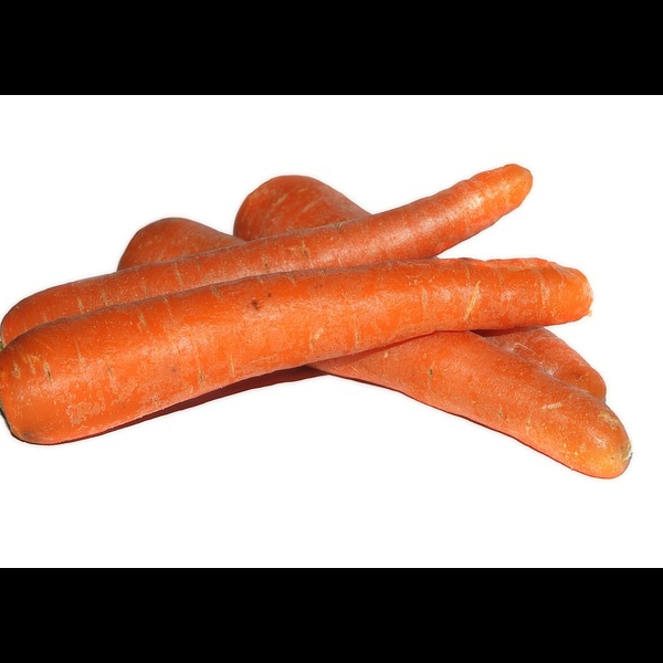 Carrot