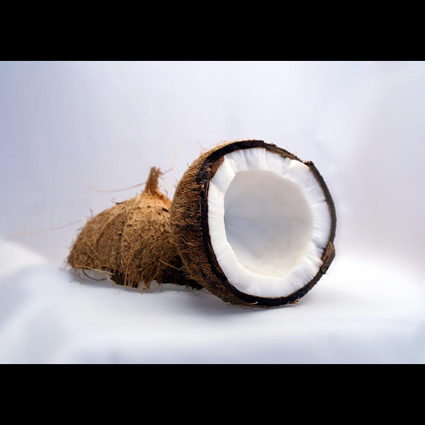 Coconut